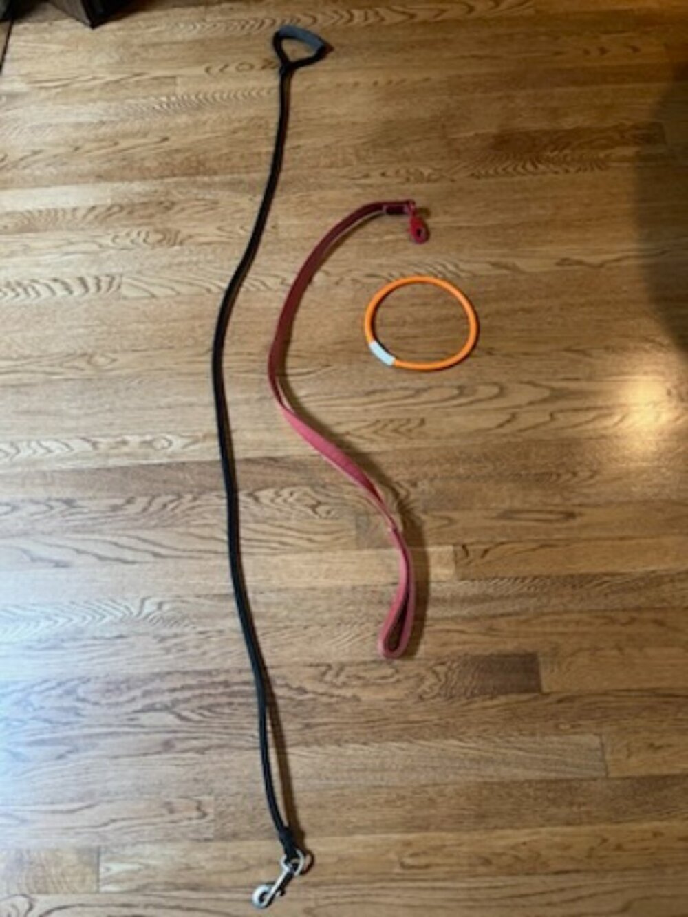Dog Leashes plus light collar